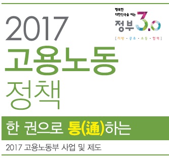 2017년 한권으로 통하는 고용노동정책